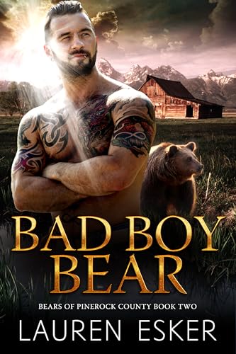 Bad Boy Bear book cover