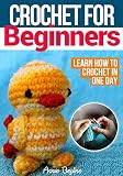 Crochet For Beginners Crochet Patterns Learn How To Crochet In One Day And Learn It Well With This Quick And Easy Handbook English Edition