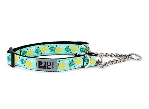RC Pet Products Training Martingale Dog Collar, Large, Pineapple Parade