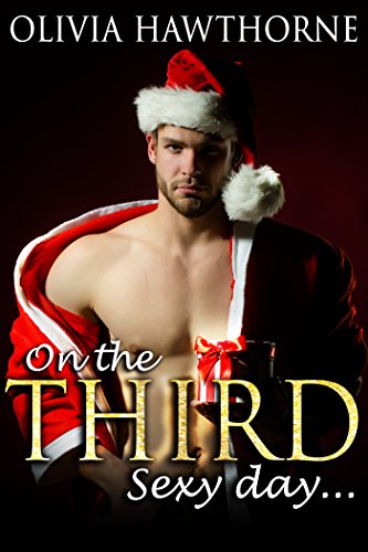 On the Third Sexy Day... book cover
