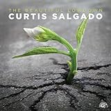 The Beautiful Lowdown (2016)