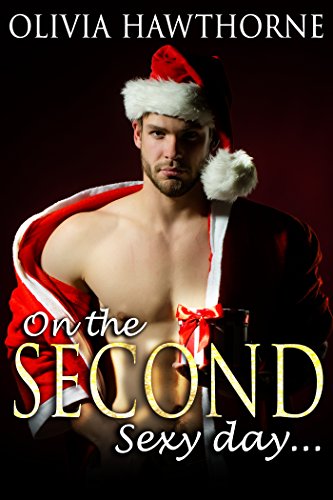 On the Second Sexy Day.... book cover