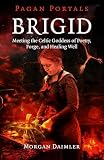 Pagan Portals Brigid Meeting The Celtic Goddess Of Poetry Forge And Healing Well English Edition