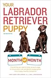 Your Labrador Retriever Puppy Month By Month 2nd Edition Everything You Need To Know At Each Stage Of Development Your Puppy Month By Month English Edition