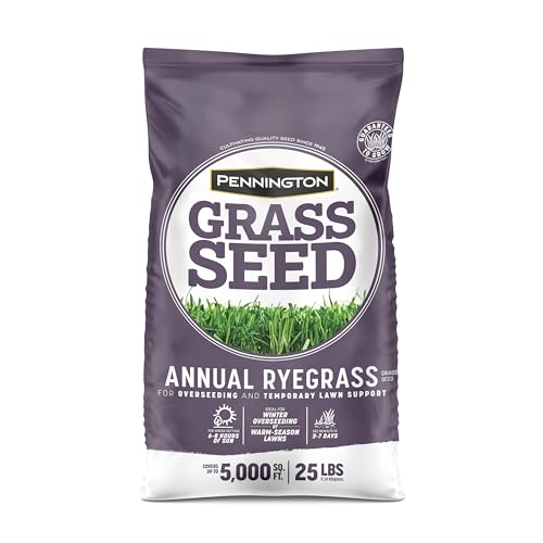 Pennington Annual Ryegrass Retail Bag to Overseed Warm Season Grasses, 25 lb
