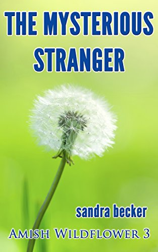 The Mysterious Stranger book cover
