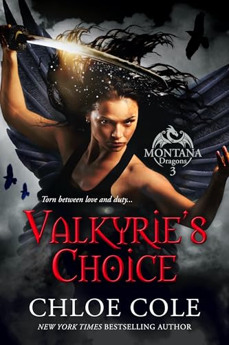 Valkyrie's Choice cover