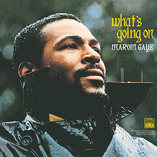 🔥 STARKER PREIS (-39%) What's Going On [Vinyl LP]