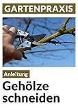 Gehlze Schneiden Obstbume Laub Und Ziergehlze Pflege Instandhaltung Verjngung Form Und Erziehung Blumen Gartenpraxis German Edition