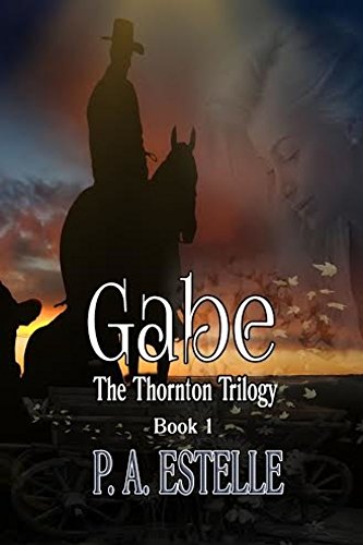 Gabe book cover