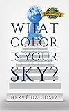 What Color Is Your Sky Seven Steps To Create A Future Beyond Your Dreams English Edition