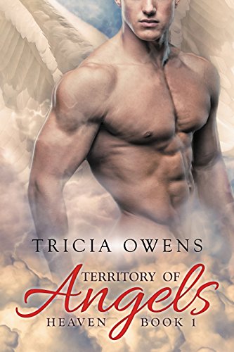 Territory of Angels book cover