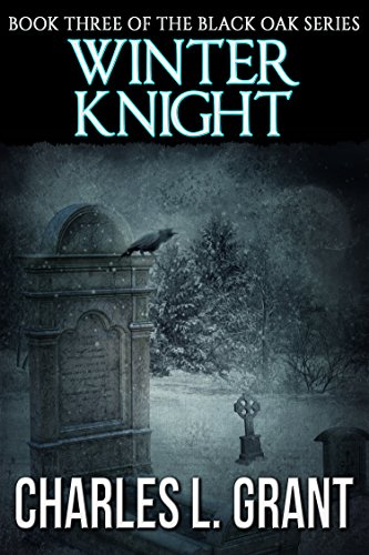 Winter Knight book cover