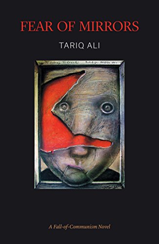 Fear of Mirrors book cover