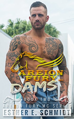 Dams book cover