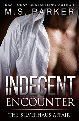 Indecent Encounter book cover