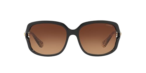 Coach HC8169 Sunglasses, Black/Brown Gradient, 57 mm