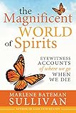 The Magnificent World Of Spirits Eyewitness Accounts Of Where We Go When We Die English Edition