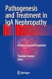Pathogenesis And Treatment In Iga Nephropathy An International Comparison English Edition
