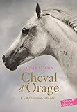 Cheval D'orage (tome 1)   Un Champion Sans Prix