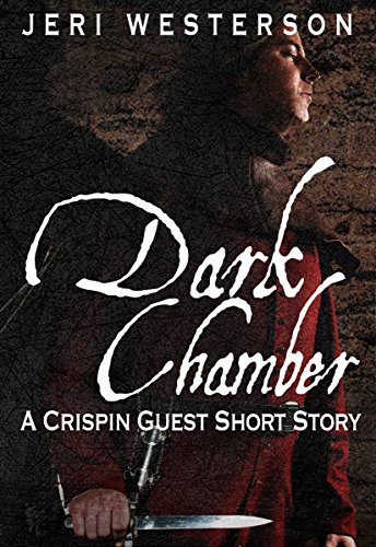 Dark Chamber book cover
