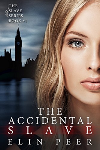 The Accidental Slave book cover
