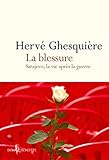 La Blessure Sarajevo La Vie Aprs La Guerre Non Fiction