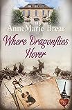 Where Dragonflies Hover