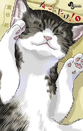 ねこったけ！