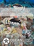 Indopacific Reef Fish Identification English Edition