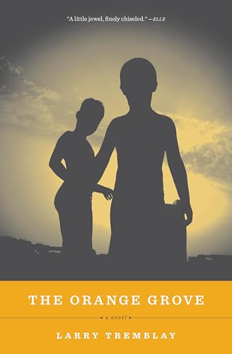 The Orange Grove book cover
