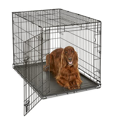 Best Dog Crates for Every Size
