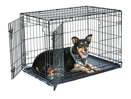 intermediate dog crate