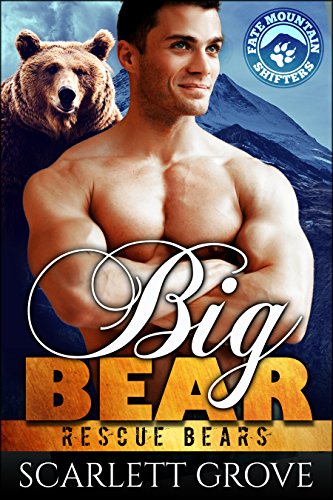 Big Bear book cover