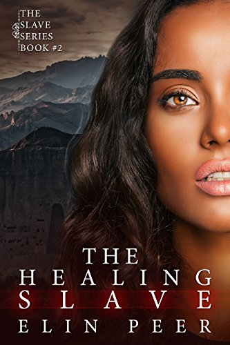 The Healing Slave book cover