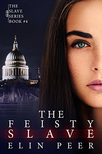The Feisty Slave book cover