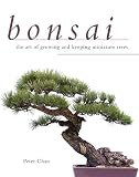 Bonsai The Art Of Growing And Keeping Miniature Trees