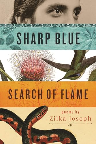 Sharp Blue Search of Flame book cover