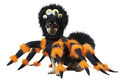 California Costumes, Spider Pup, Dog Costume Medium