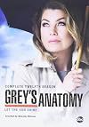 Grey's Anatomy: The Complete Twelfth Season