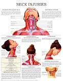 Neck Injuries Quick Reference Chart Full Illustrated English Edition