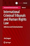 International criminal tribunals and human rights law : adherence and contextualization
