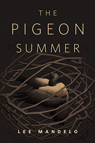 The Pigeon Summer book cover