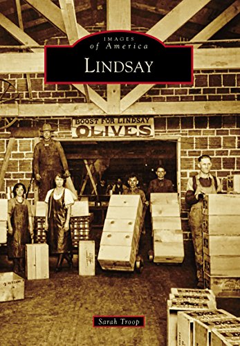 Lindsay (By: Sarah Troop) cover