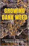 Marijuana How To Grow Marijuana A Simple Guide To Growing Dank Weed Indoor And Outdoor Medical Marijuana Cannabis Marijuana Growing Marijuana Growers Bible English Edition