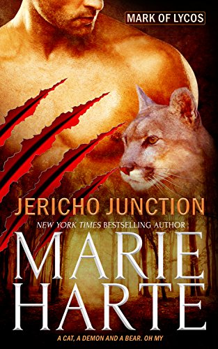Jericho Junction book cover