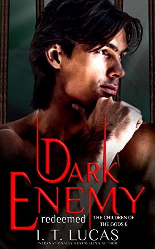 Dark Enemy Redeemed cover