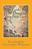 The Gods And The Demons Are Not Two A Tantra Of The Great Perfection English Edition