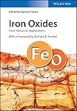 Iron Oxides From Nature To Applications English Edition
