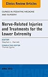 Nerve Related Injuries And Treatments For The Lower Extremity An Issue Of Clinics In Podiatric Medicine And Surgery Ebook The Clinics Orthopedics English Edition